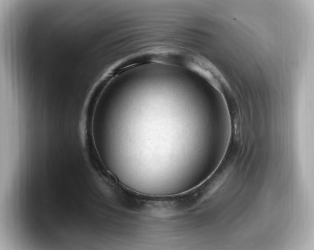 X0000099980436200805231428