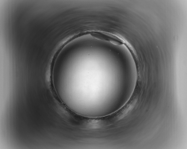 X0000099980437200805231428