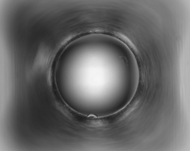 X0000099980439200805231428