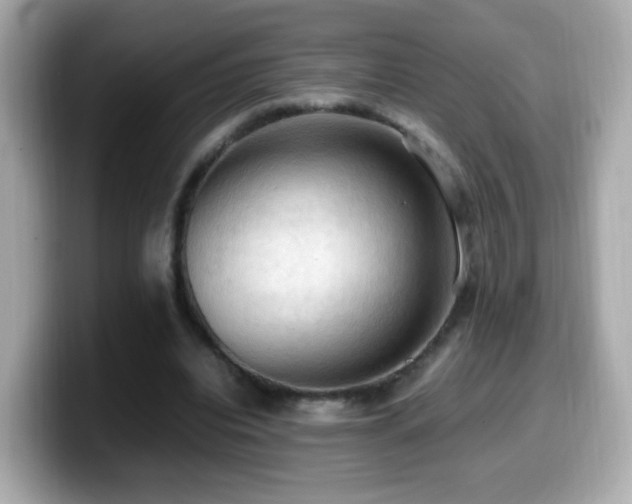 X0000099980440200805231428