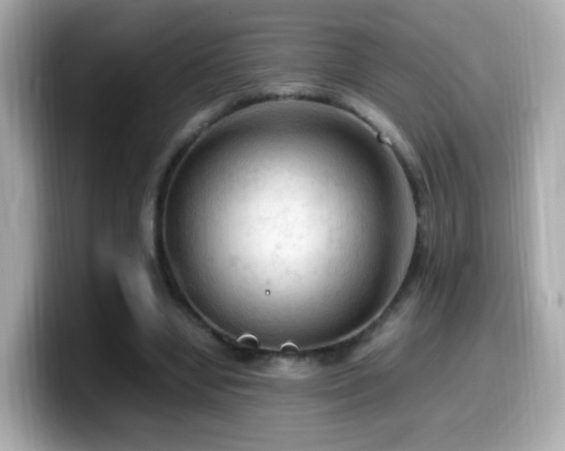 X0000099980442200805231428