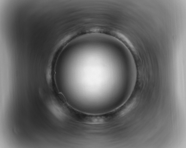 X0000099980443200805231428