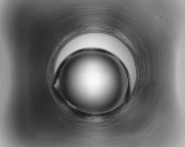X0000099980444200805231428