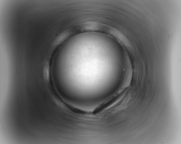 X0000099980446200805231428