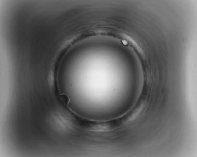 X0000099980447200805231428