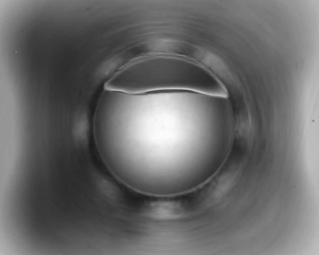 X0000099980448200805231428