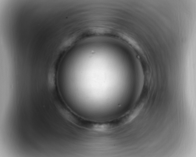 X0000099980450200805231428