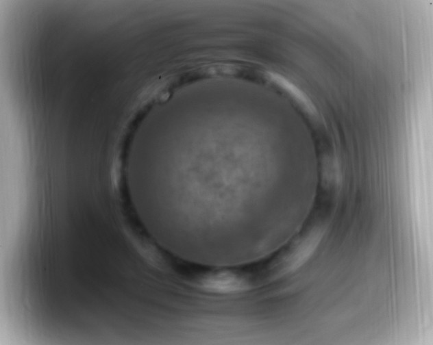X0000099980451200805231428