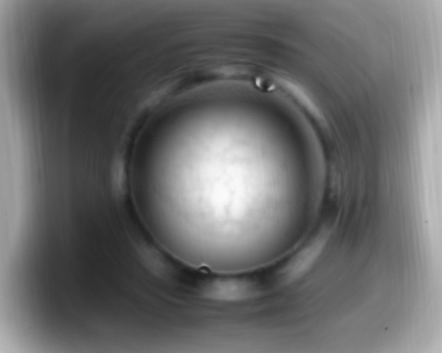 X0000099980453200805231428