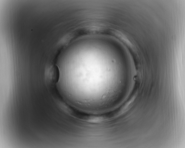 X0000099980458200805231428