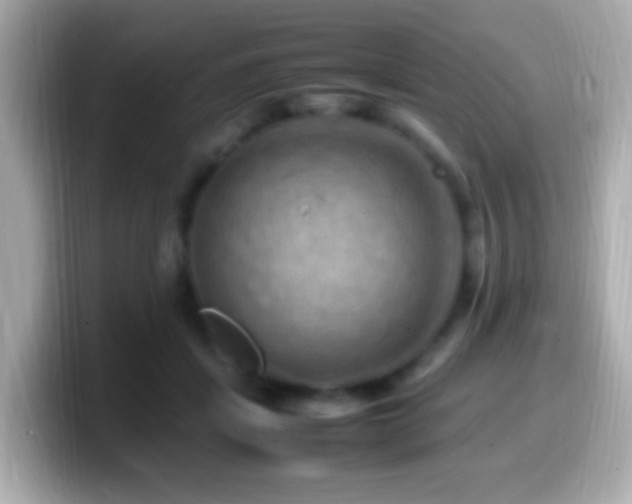 X0000099980459200805231428