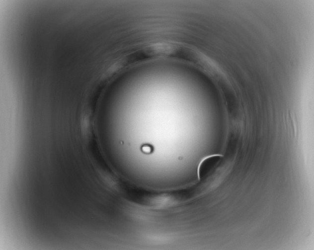 X0000099980460200805231428