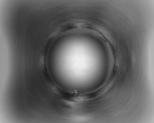 X0000099980461200805231428