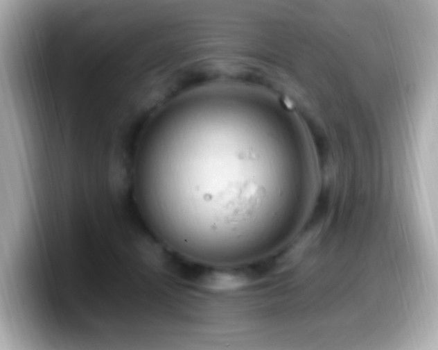 X0000099980464200805231428