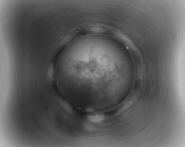 X0000099980465200805231428