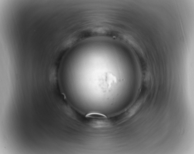 X0000099980466200805231428