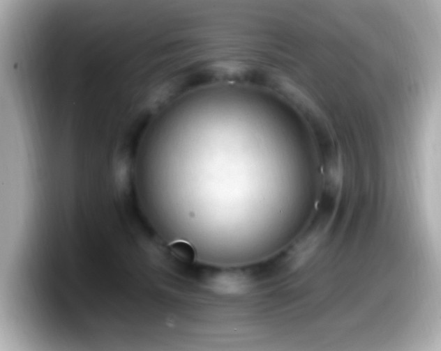 X0000099980468200805231428