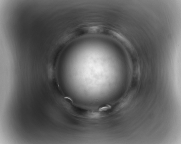 X0000099980469200805231428