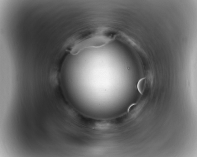 X0000099980470200805231428