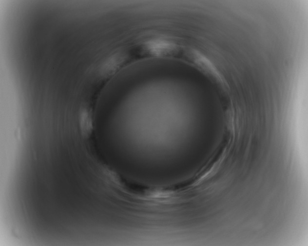 X0000099980471200805231428