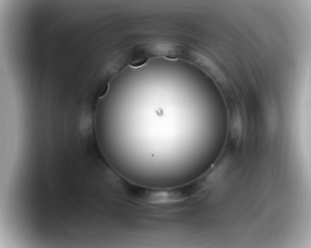 X0000099980473200805231428