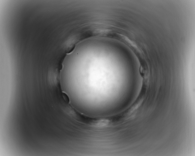 X0000099980474200805231428