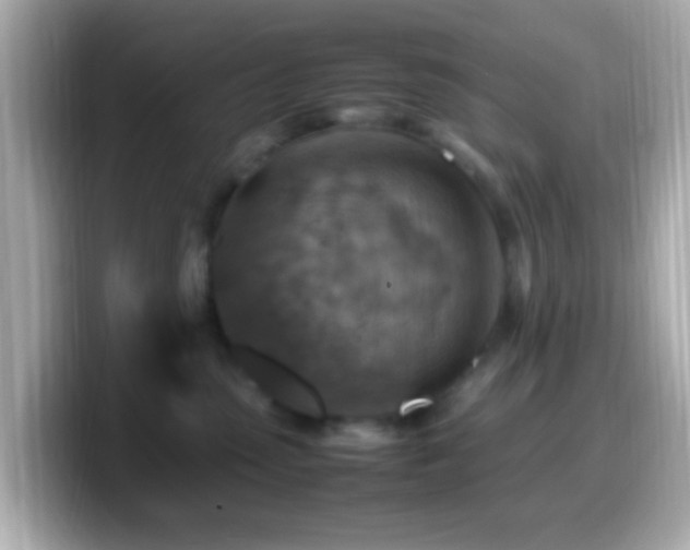X0000099980475200805231428
