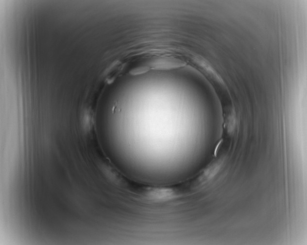 X0000099980476200805231428