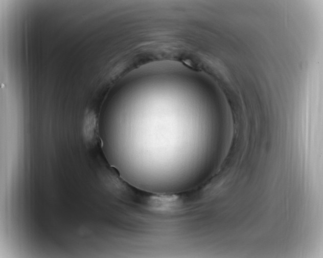X0000099980480200805231428