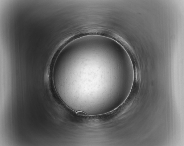 X0000099980483200805231428