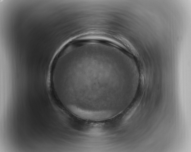 X0000099980484200805231428