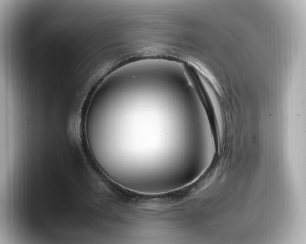 X0000099980485200805231428