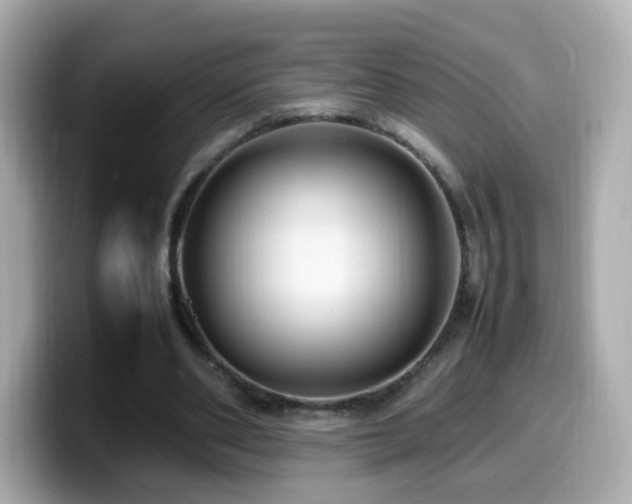 X0000099980486200805231428