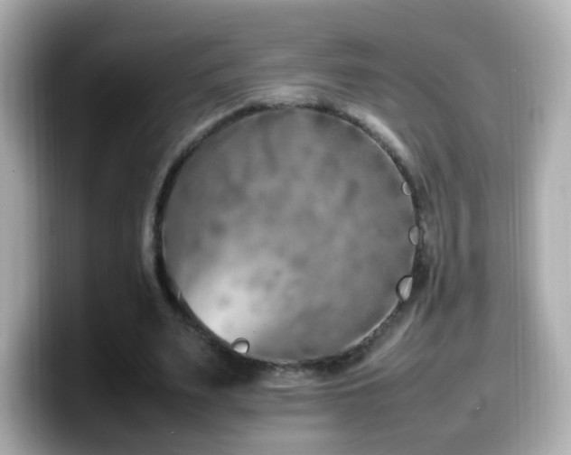 X0000099980487200805231428