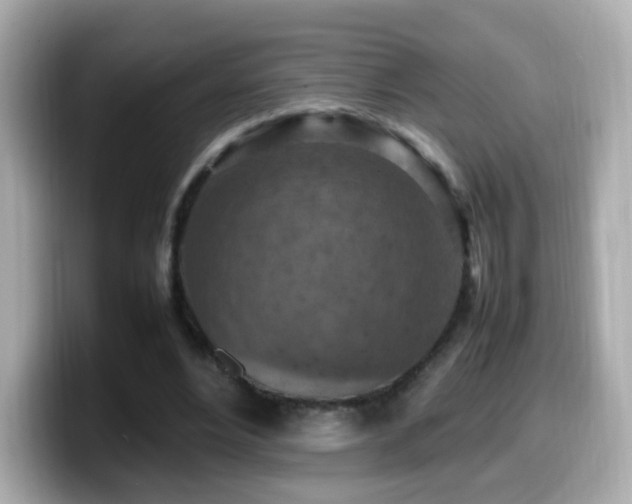 X0000099980488200805231428