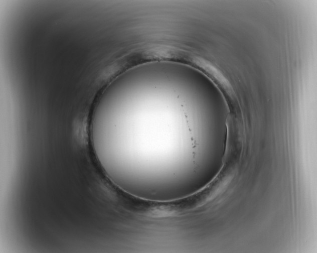 X0000099980489200805231428
