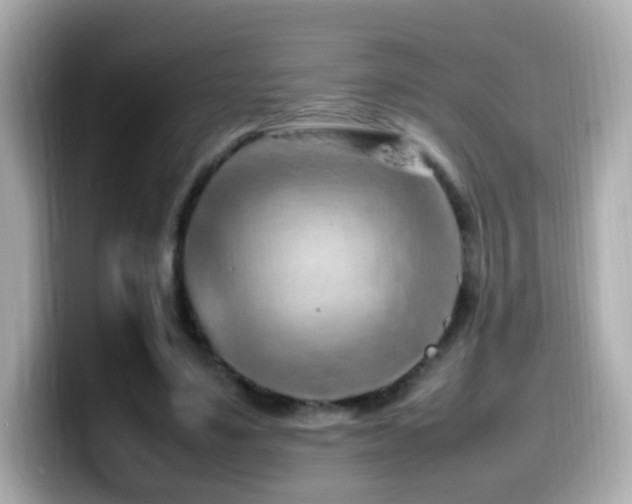 X0000099980491200805231427