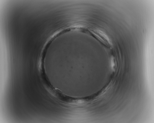 X0000099980492200805231427