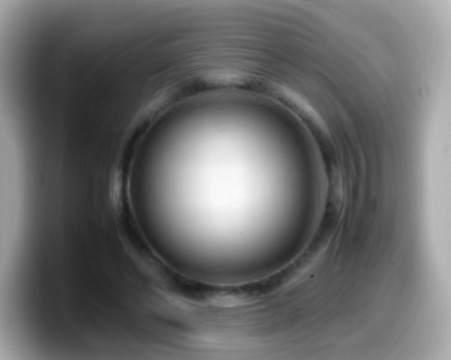 X0000099980494200805231427