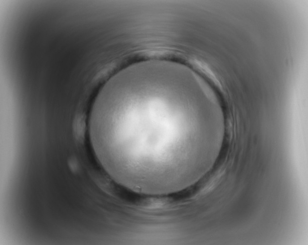 X0000099980495200805231427