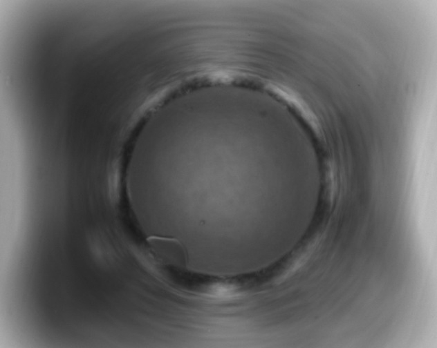 X0000099980496200805231427