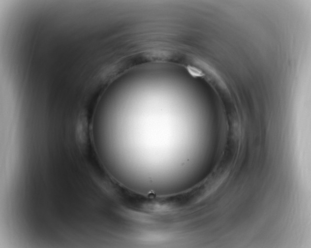 X0000099980498200805231427
