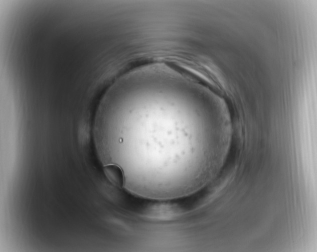 X0000099980499200805231427