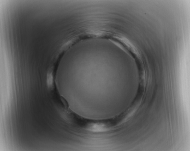 X0000099980500200805231427