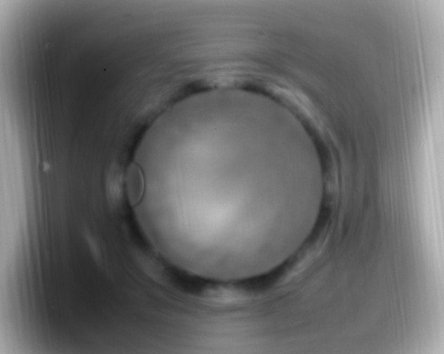 X0000099980503200805231427