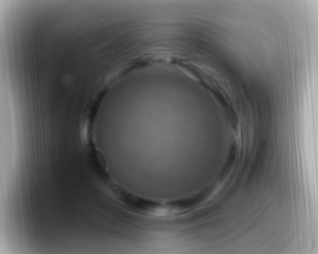 X0000099980504200805231427