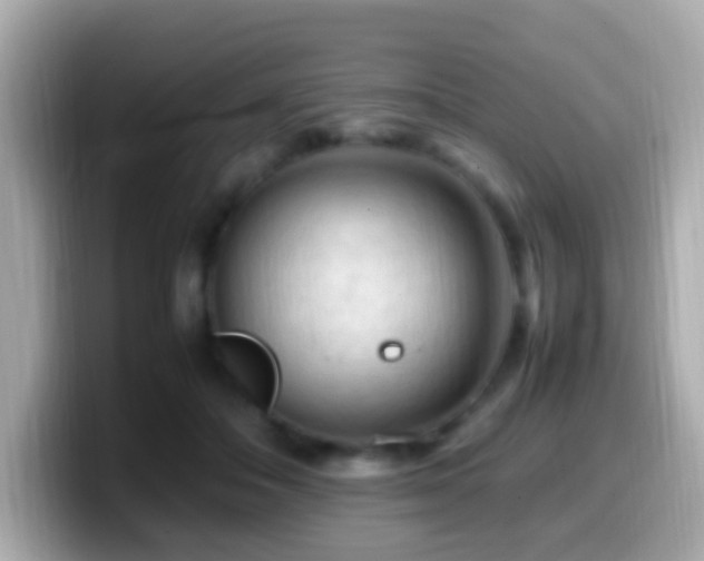 X0000099980506200805231427