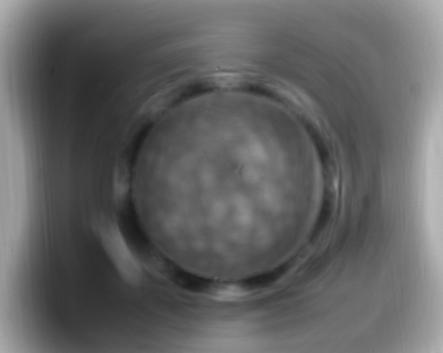 X0000099980507200805231427