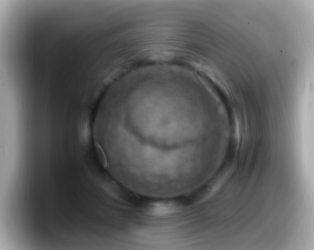 X0000099980508200805231427