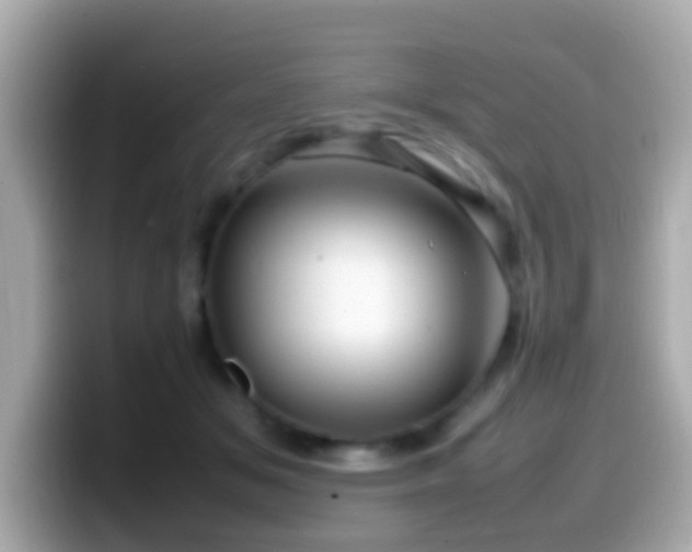 X0000099980509200805231427